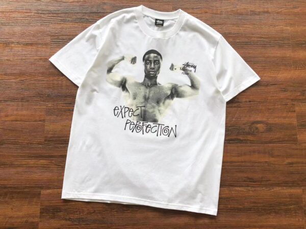 Stussy Expect Perfection White T Shirt