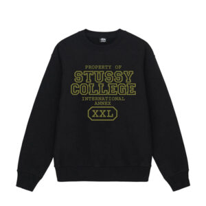 Sweatshirt International Stussy